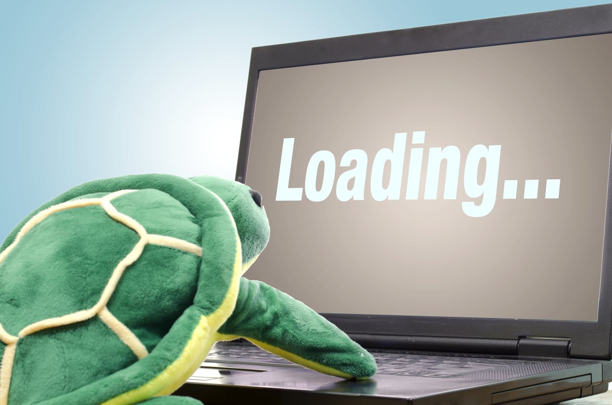 Things That Slow Down Your Small Business Website